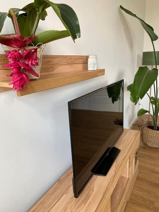 2-Zimmer Zentral In Ferdinandshof, Wlan Modern 外观 照片