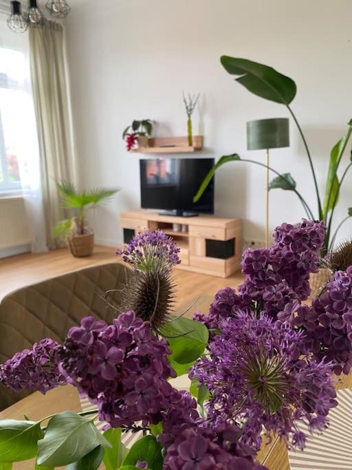 2-Zimmer Zentral In Ferdinandshof, Wlan Modern 外观 照片